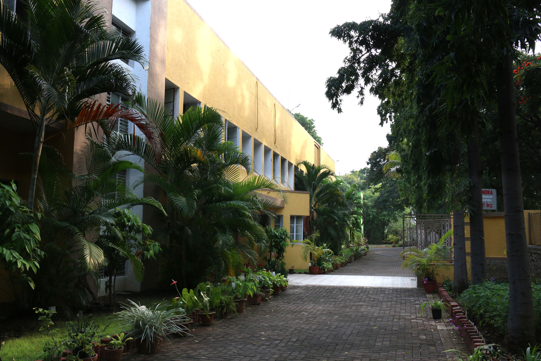 Ishvani Gallery